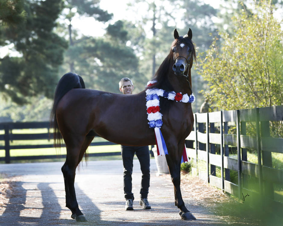 Beloveds Call To Glory