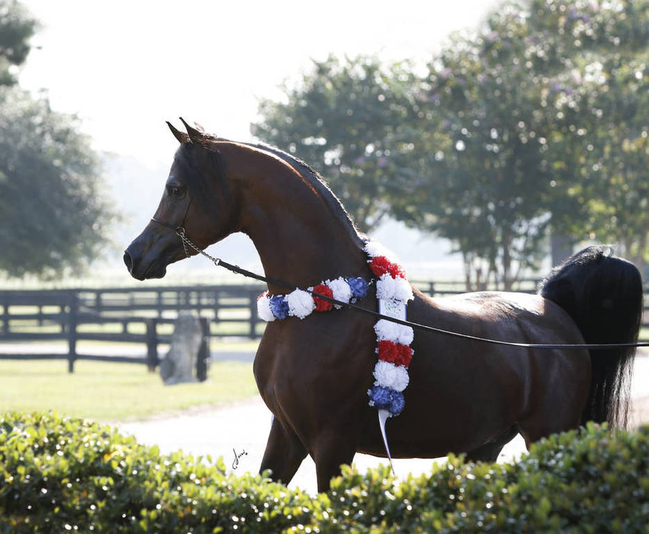 Beloveds Call To Glory