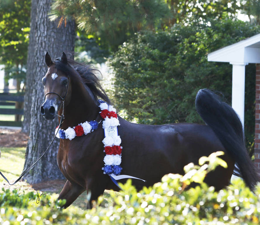 Beloveds Call To Glory