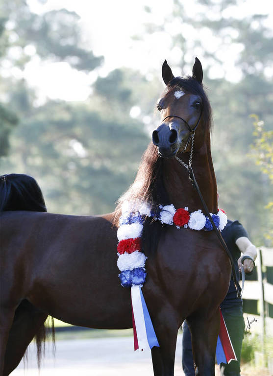 Beloveds Call To Glory