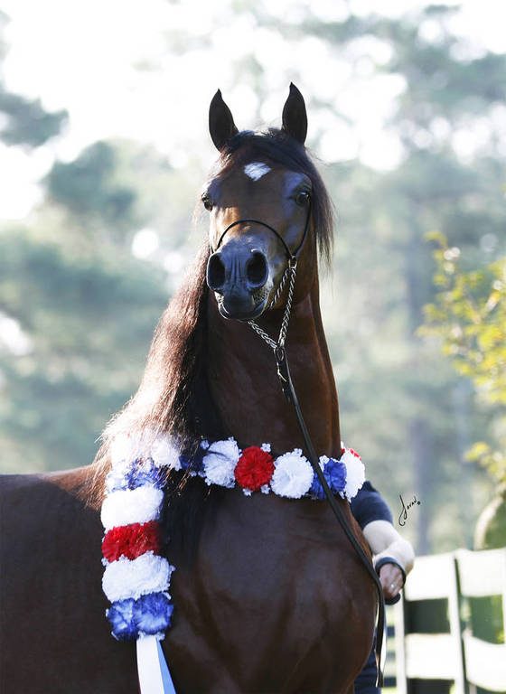 Beloveds Call To Glory