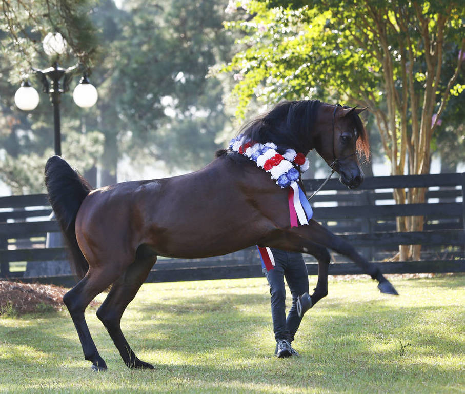 Beloveds Call To Glory