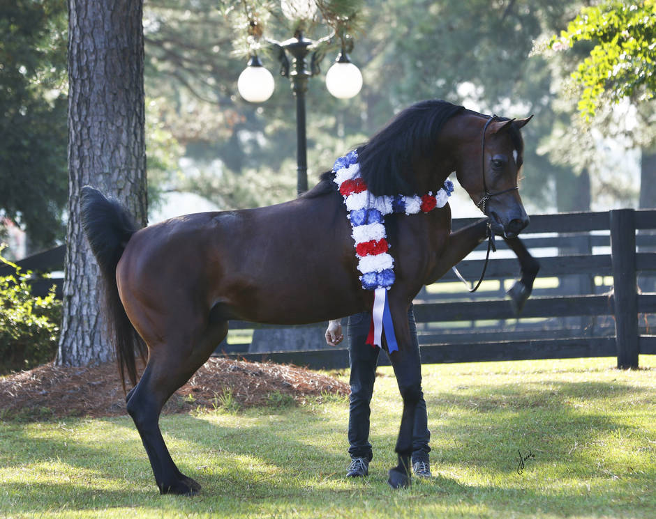 Beloveds Call To Glory