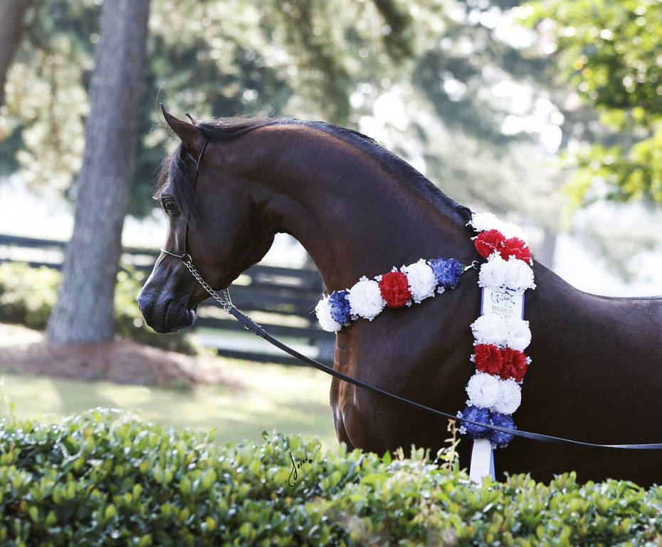 Beloveds Call To Glory