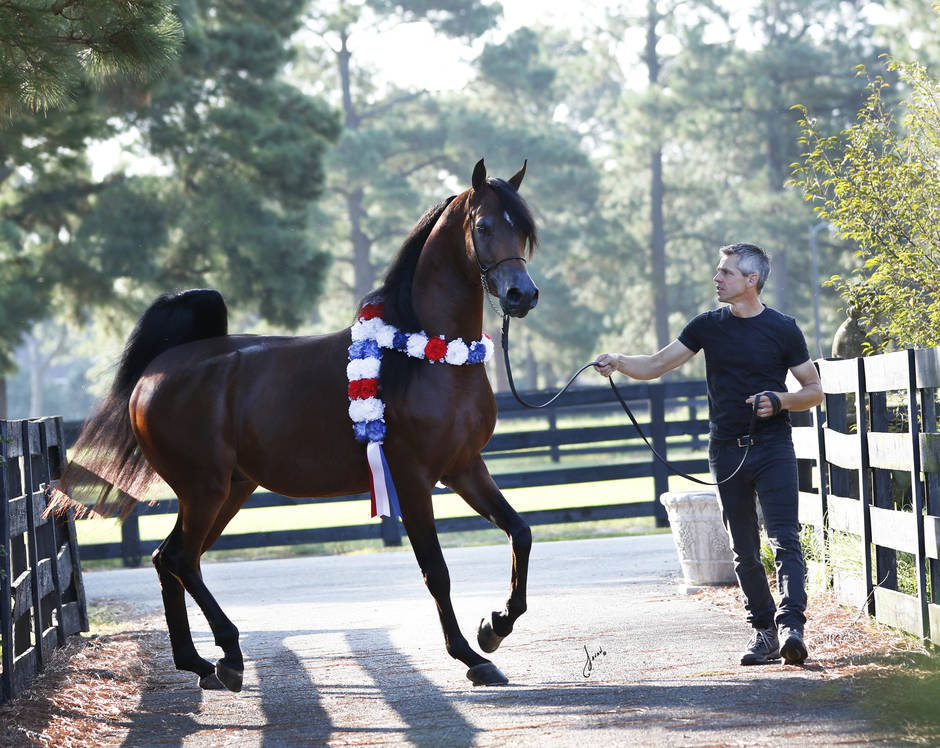 Beloveds Call To Glory