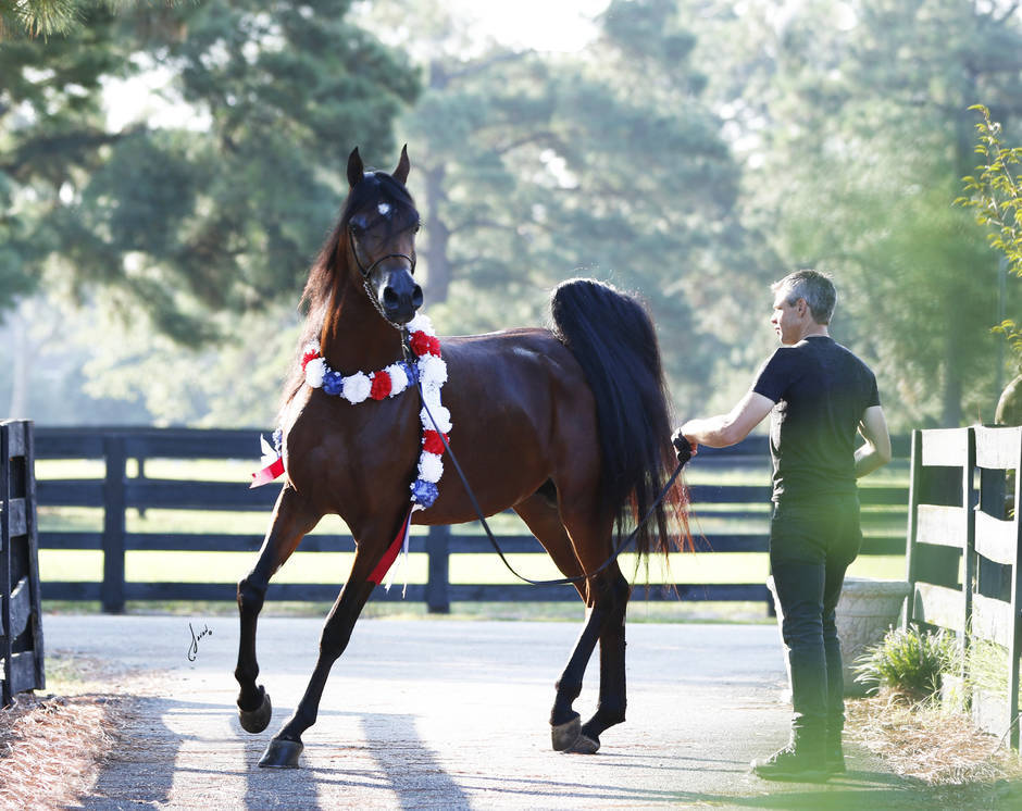 Beloveds Call To Glory