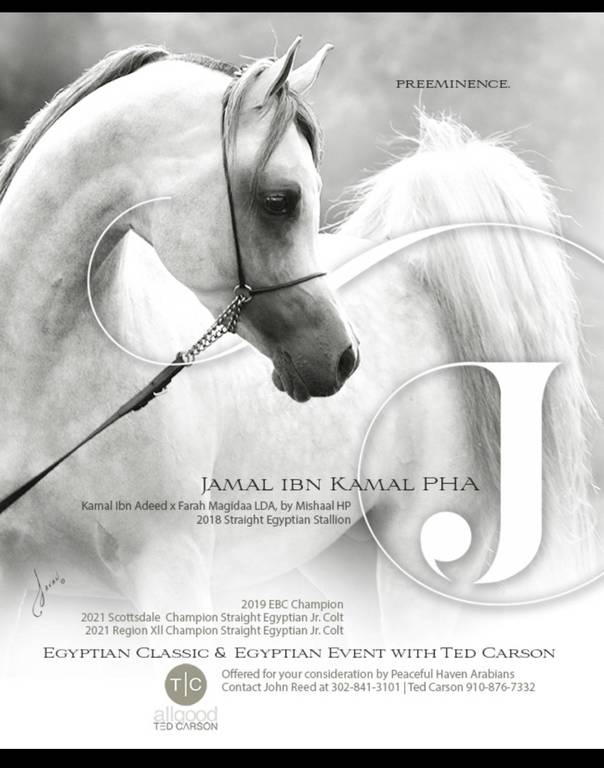 Jamal Ibn Kamal PHA