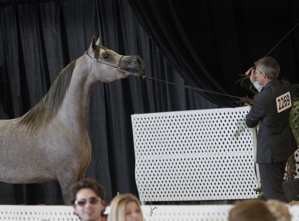 MVA Princess Mishaal