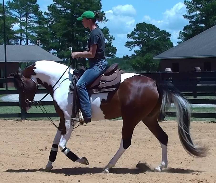 Koweta Sundancesplash