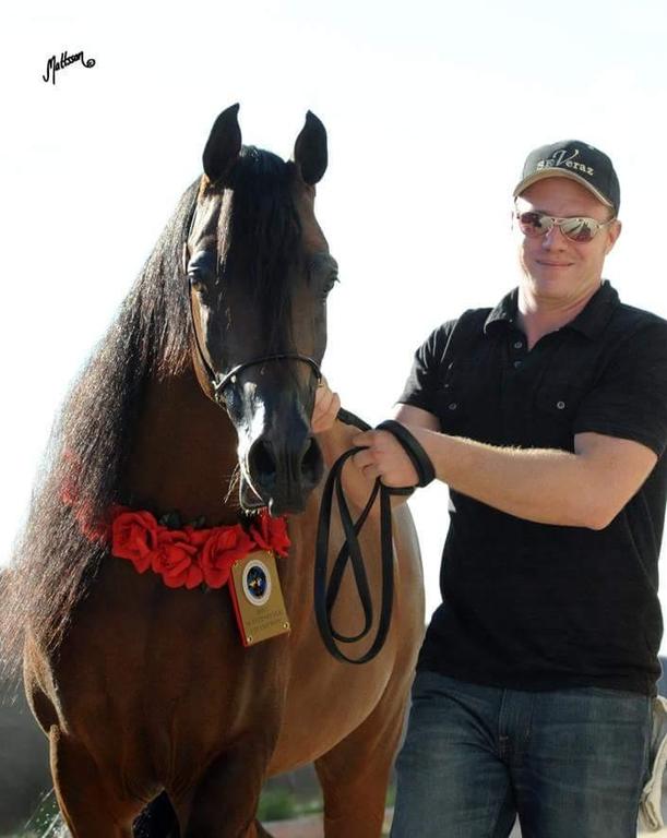 Cory Byrne, Halter Trainer