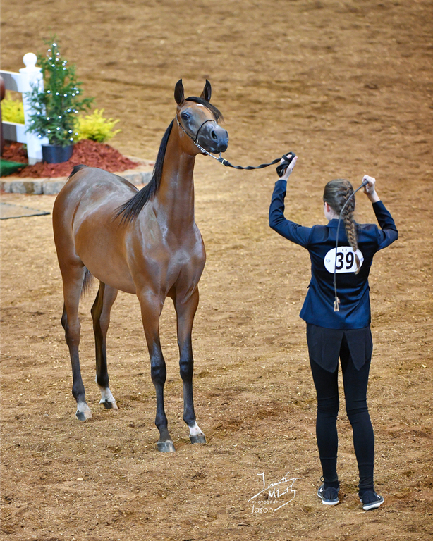 Beloveds Earth Angel