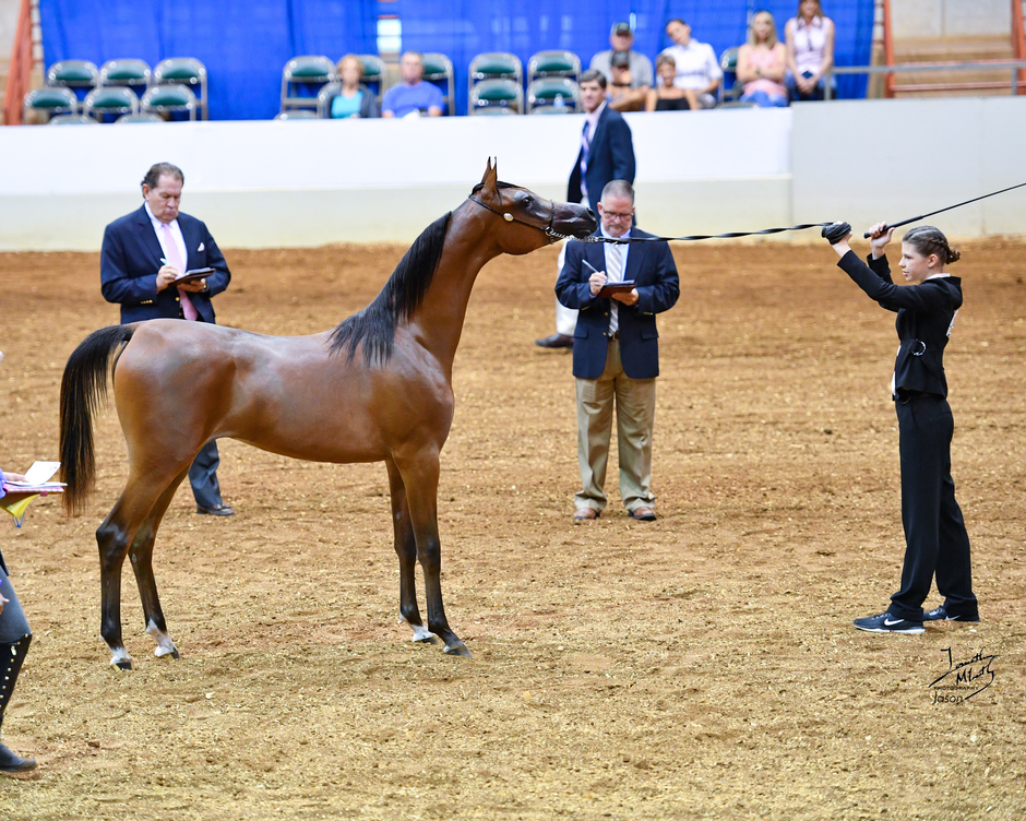 Beloveds Earth Angel