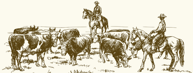 Cattle drive by two cowboys, hand drawn vector illustration.