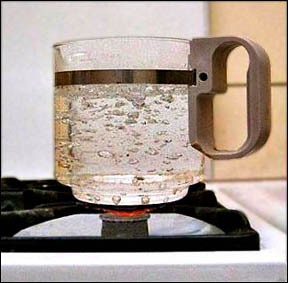 Pot of boiling water on a stove. Water vapor itself is invisible, but it fills these bubbles.