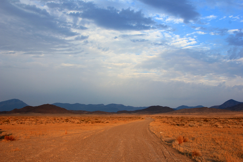 Dirt road in the Nevada desert, USA.