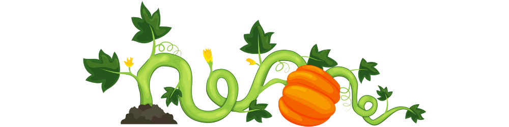 pumpkins on a vine