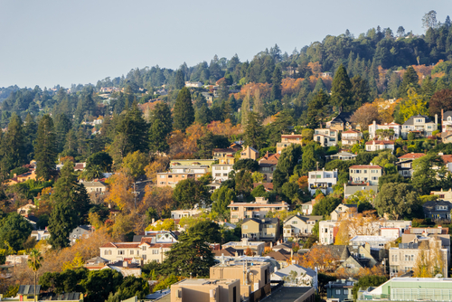 Aerial view of residential neighborhood built on a hill on a sunny autumn day, Berkeley, San Francisco bay, California
