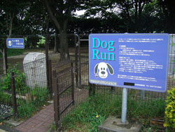 dog run sign
