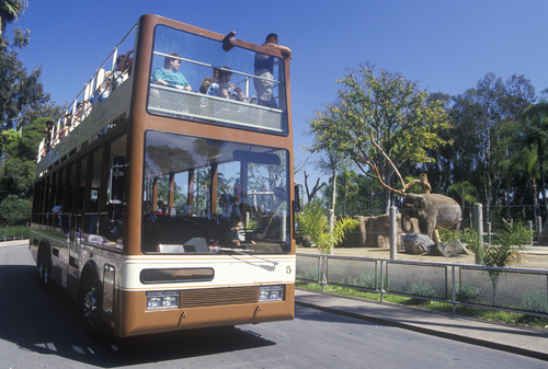 Safari Bus and tourists at San Diego Zoo, CA.