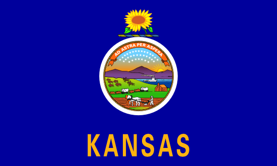 Kansas state flag