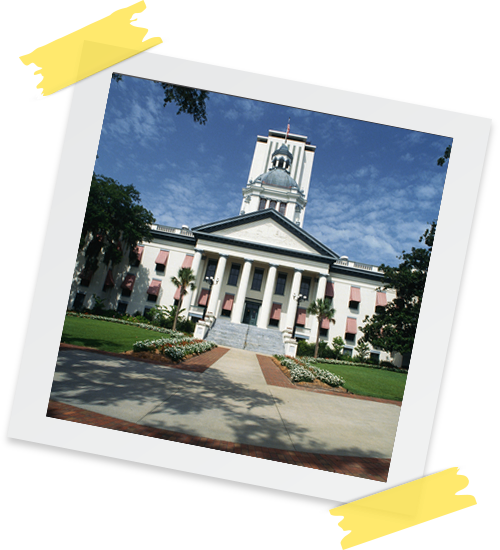 This is the State Capitol building in Florida. It has a large concrete stairway leading up to it with large columns holding up the facade.