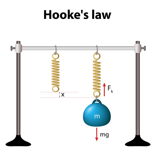 Hooke's Law