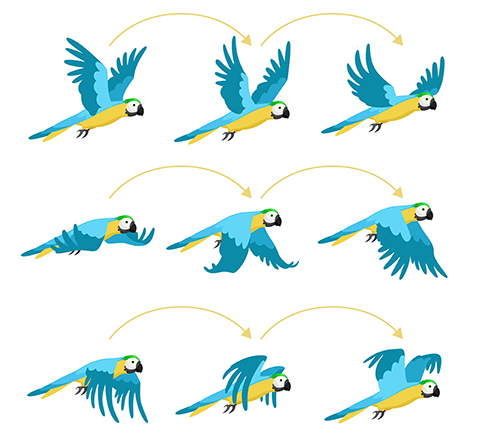 Frames from an animated flying parrot