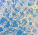 Polystyrene foam magnification