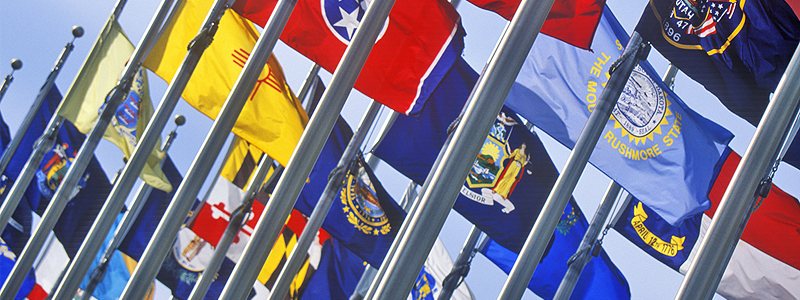 variety of state flags