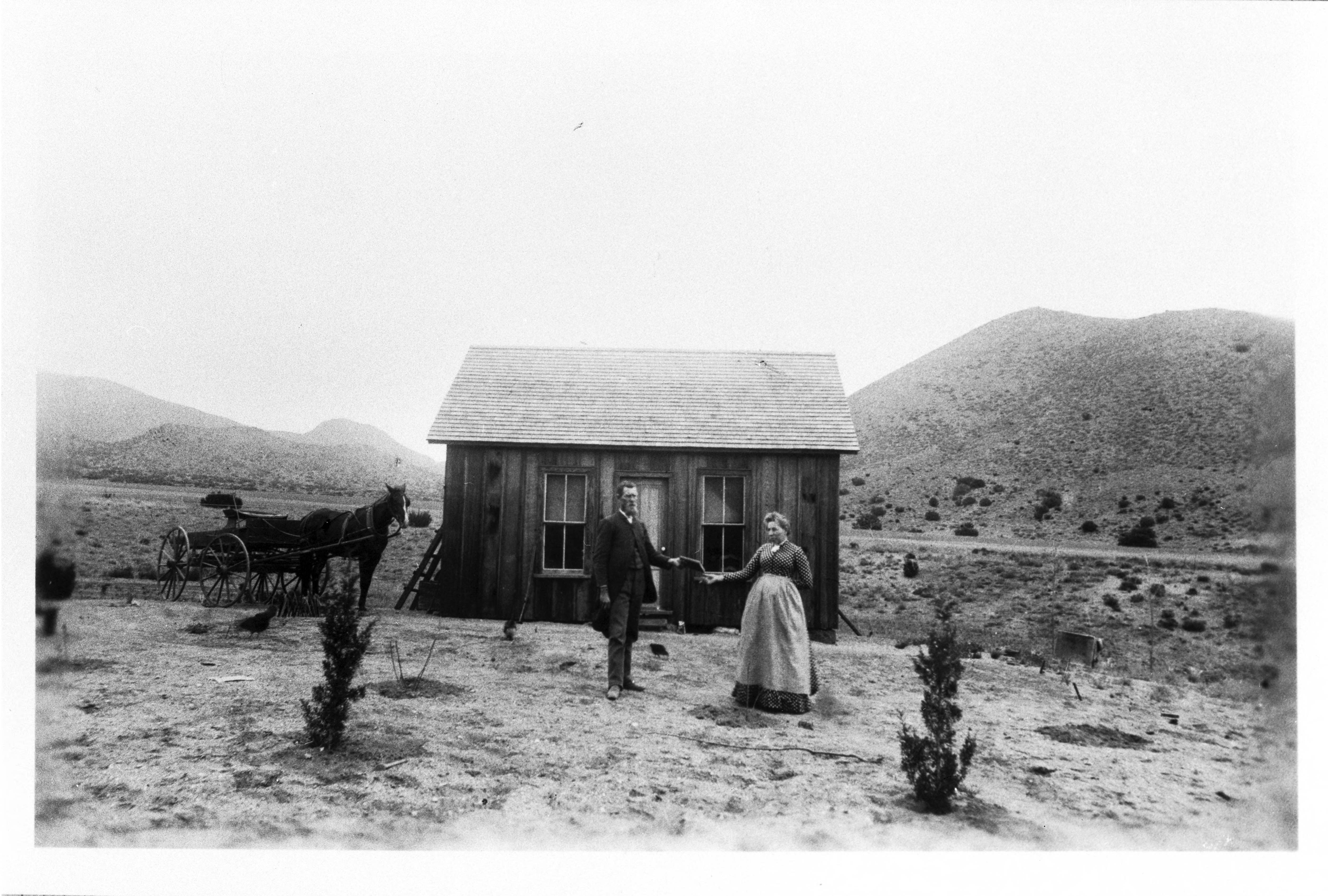 Portrait of a California homesteader receiving the patent to her land, 1895-1905