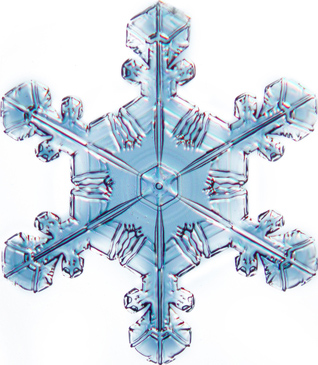 A snowflake on a white background