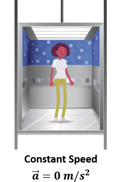 In this scenario, the force of gravity is the same as the normal force, so the apparent weight is equal to your weight.<br><br>F<sub>normal</sub> = F<sub>weight</sub>