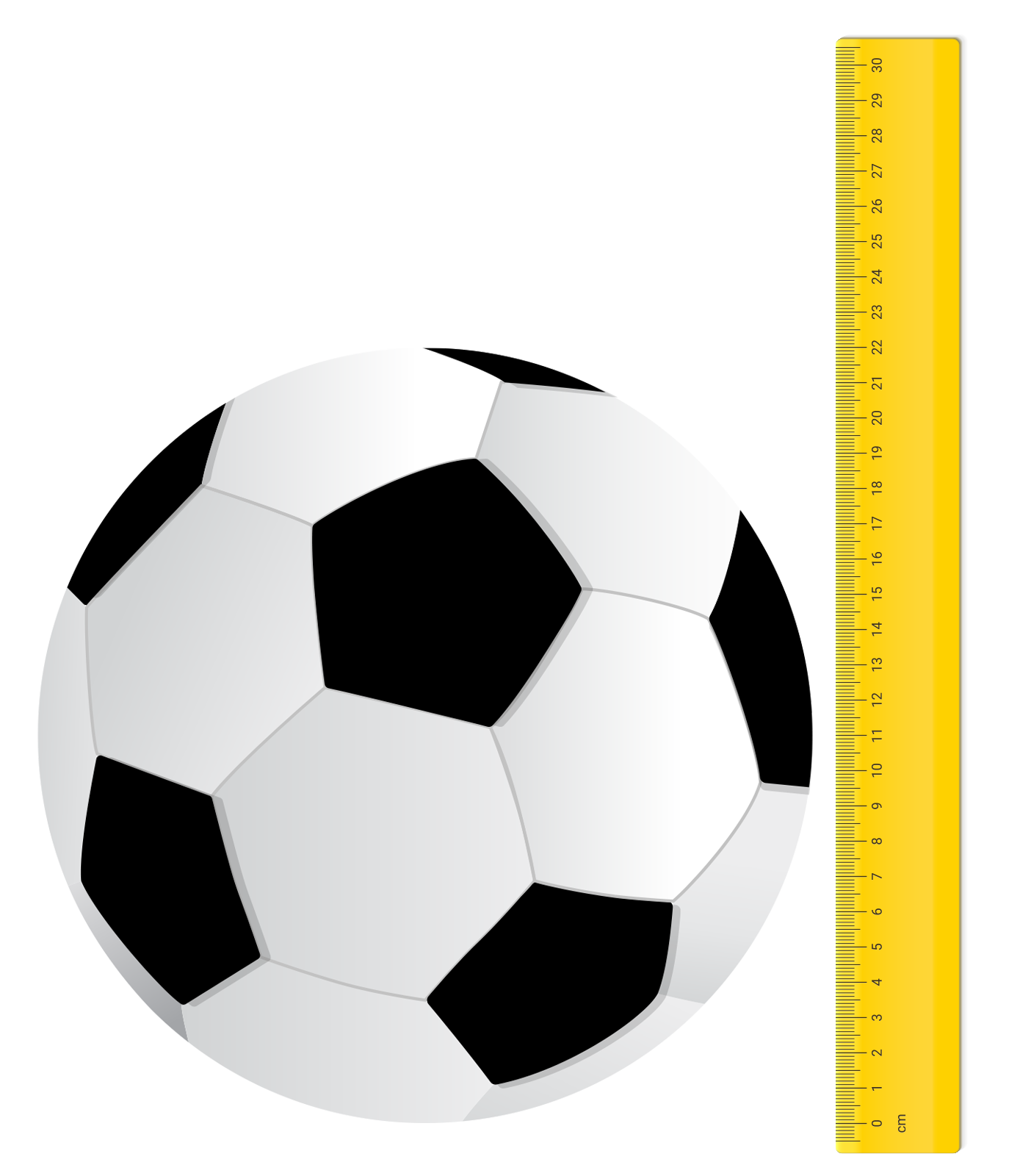 soccer ball next to ruler