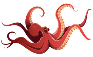 octopus