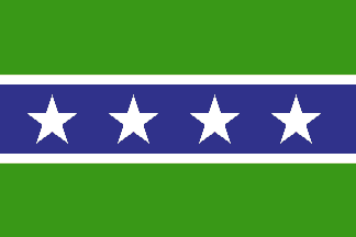 New Michigan Flag