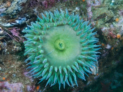 basic watercolor wash