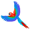 parrot