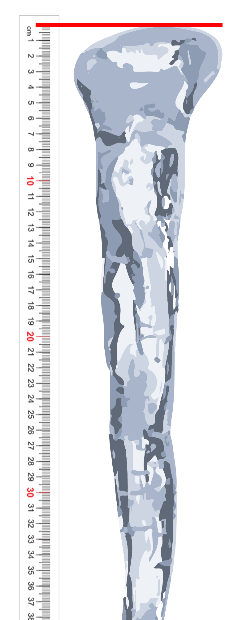 ALTTEXT: Enter key opens full-screen view with caption; escape key exits full screen.