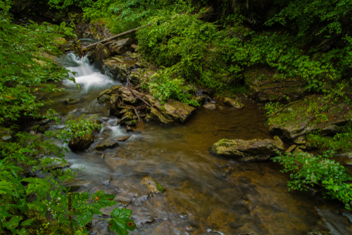 Stream And Waterfalls Flowing Through Lush Green, Ancient Temperate Forest In Pennsylvania.