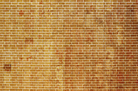 wall