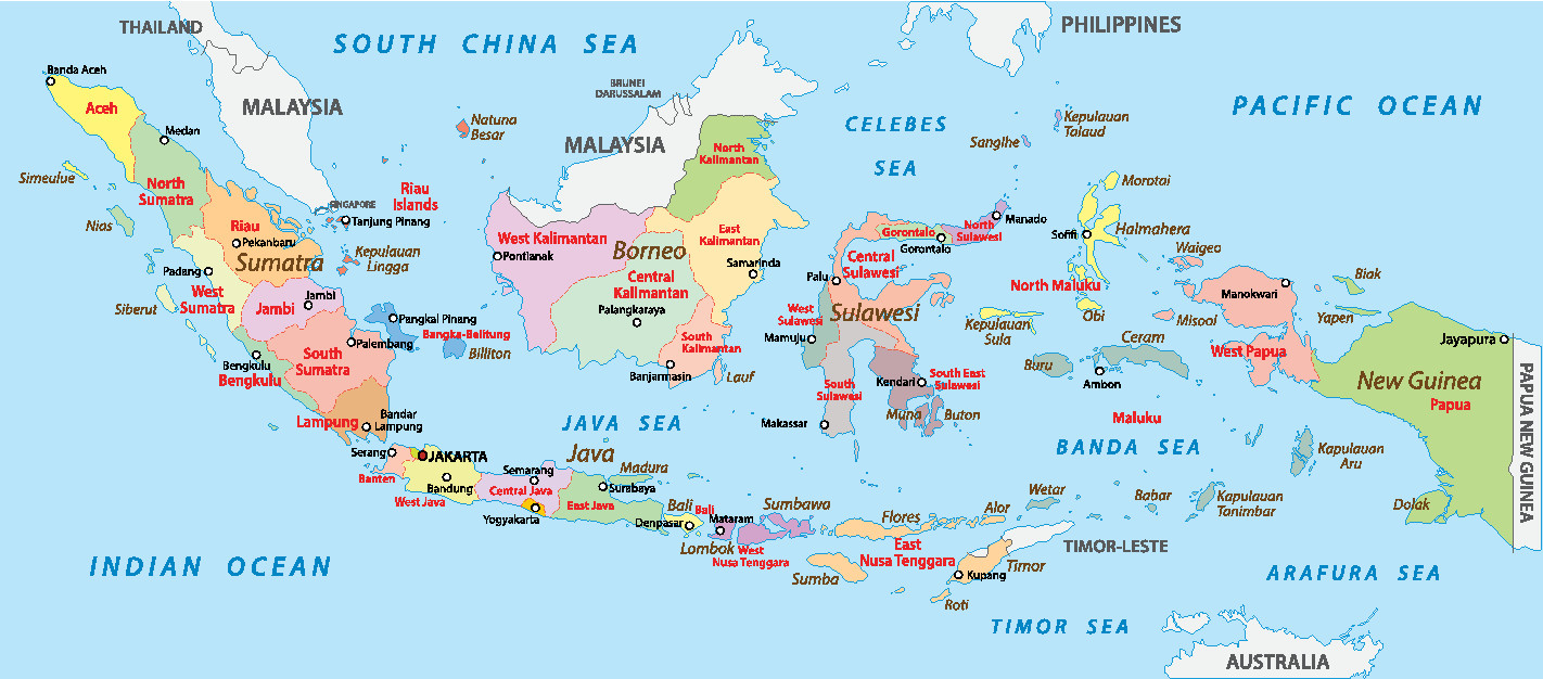 Despite the many ethnic groups in Indonesia, rigid government policies have kept the island nation united.