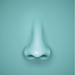 nose
