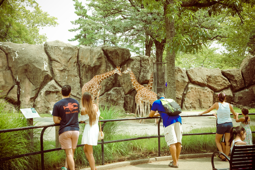 Philadelphia, Pennsylvania - Aug 12, 2017: People watch animals at the Philadelphia Zoo.