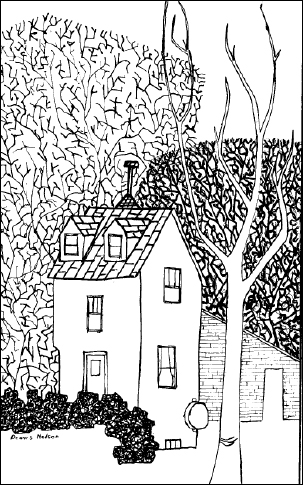 Light and dark tones of
pen lines in texture patterns.