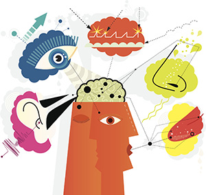 5 Sensess Illustration