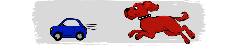 red dog chasing a car