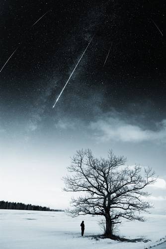 starry sky in winter
