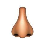 nose