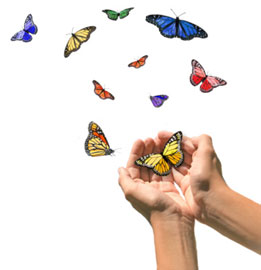hands releasing a variety of butterflies