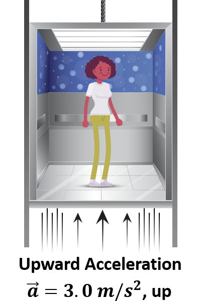 In this scenario, the normal force is greater than the force of gravity, so the apparent weight is greater than your weight.<br><br>F<sub>normal</sub> = F<sub>weight</sub><br><br>The elevator could be speeding up going up or slowing down going down.
